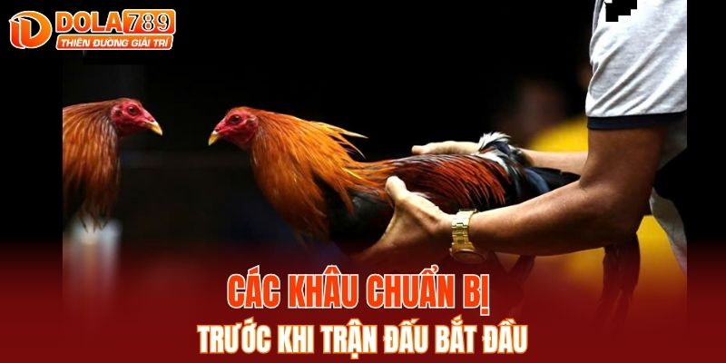 Các khâu chuẩn bị trước khi trận đấu bắt đầu
