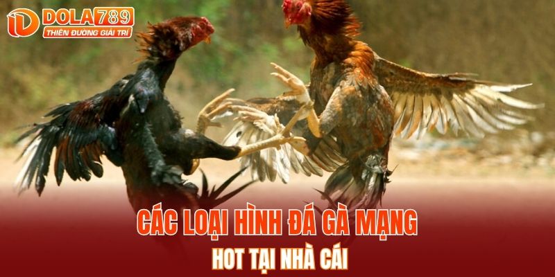 Các loại hình đá gà mạng hot tại nhà cái