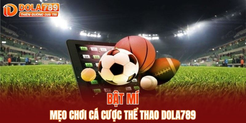 Bật mí mẹo chơi cá cược thể thao hiệu quả và bền vững