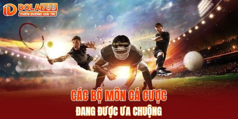 Một số bộ môn cá cược thể thao đang được ưa chuộng