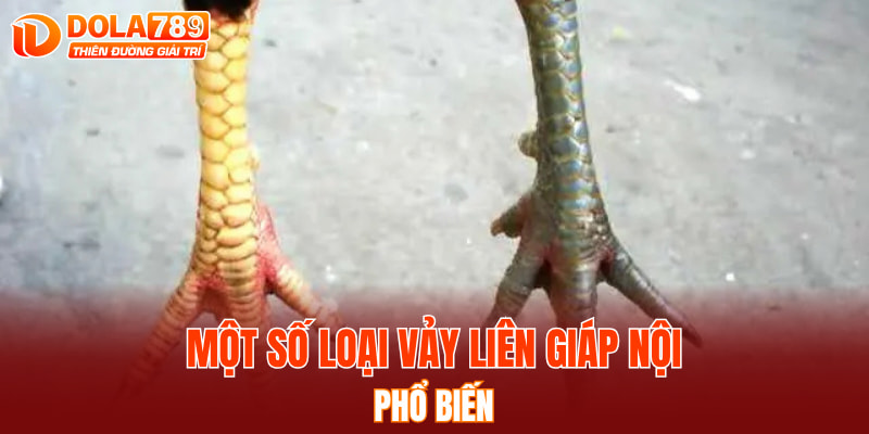 Một số loại vảy liên giáp nội phổ biến