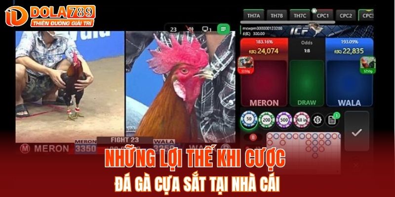 Những lợi thế khi cược đá gà cựa sắt tại nhà cái