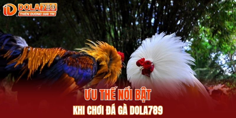 Ưu thế nổi bật khi cá cược tại DOLA789 so với nền tảng khác
